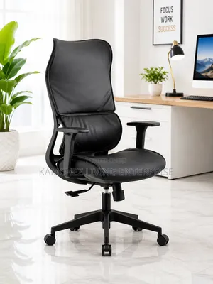 Premium Ergonomic Office Chair