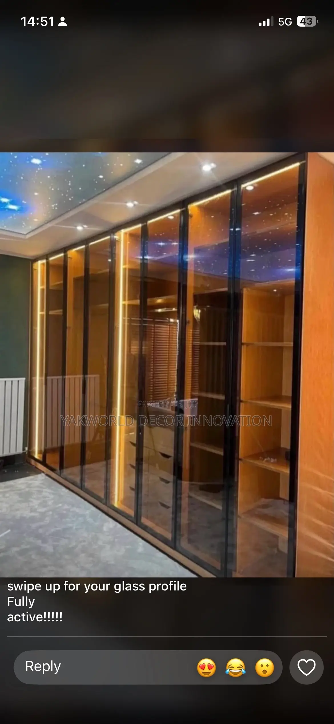 Glass Wardrobe