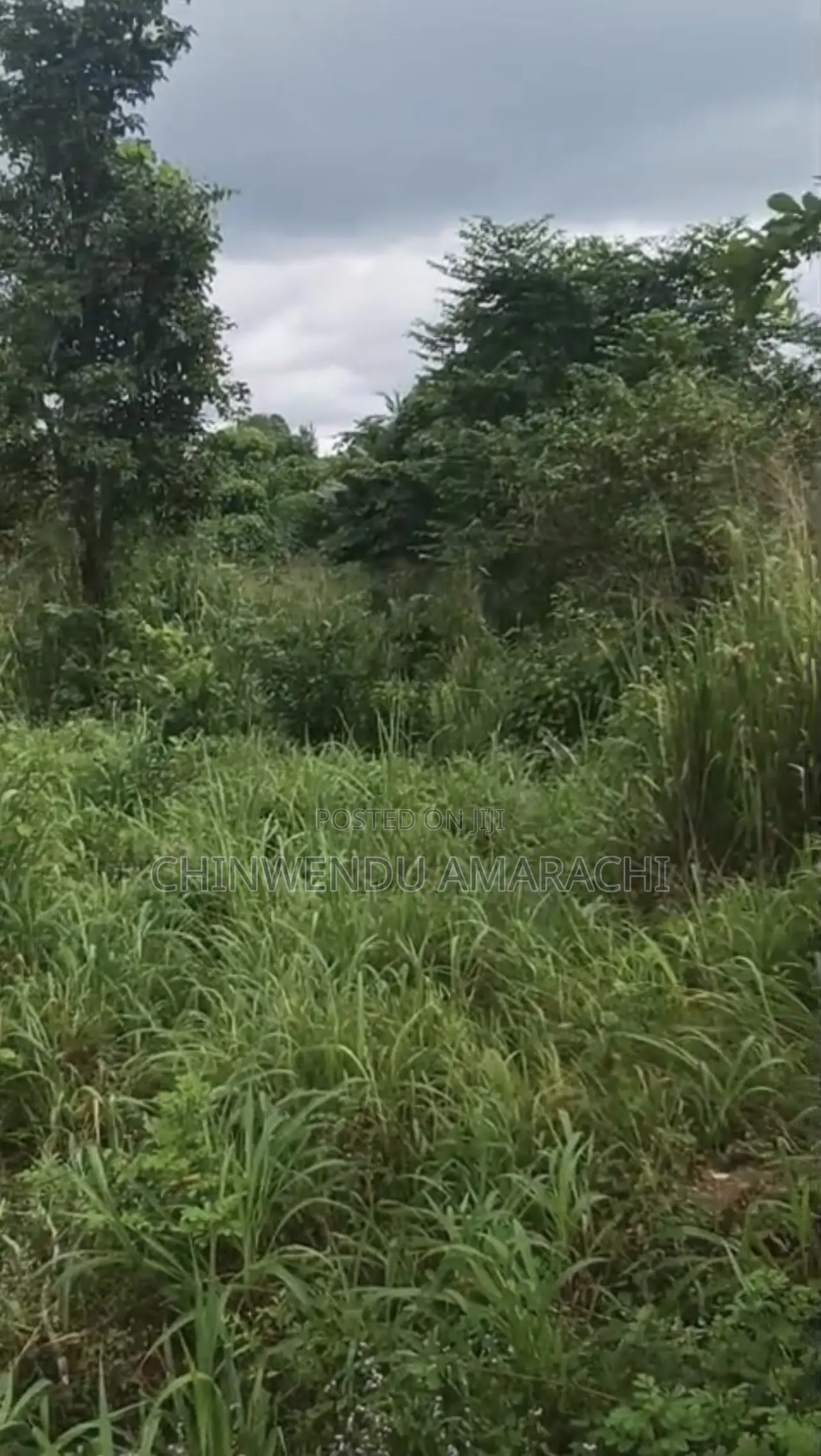 Empty Plot for Sale