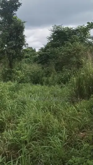 Empty Plot for Sale