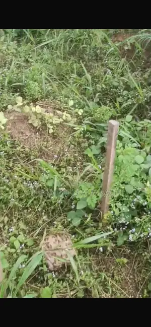 Empty Plot for Sale