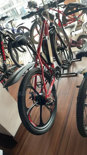 Electric Bicycle (E-Bike)