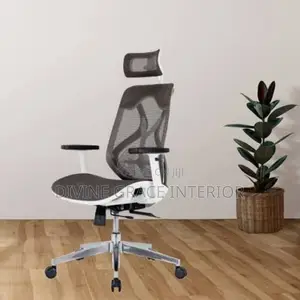 High Quality Imported Office Chair