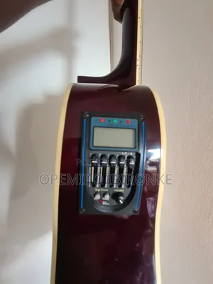 Semi Acoustic Guitar