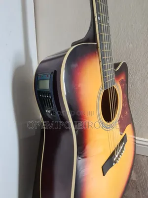 Semi Acoustic Guitar