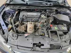 Honda Accord EX-L V-6 2dr Coupe FWD (3.5L 6cyl 6A) 2013 Blue