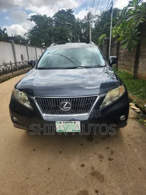Lexus RX 2009 Blue