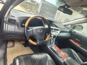 Lexus RX 2009 Blue
