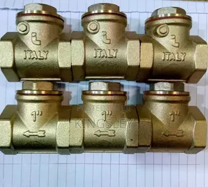 1'' Non Return Valve