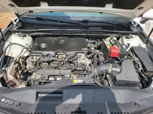 Toyota Camry LE FWD (2.5L 4cyl 8AM) 2018 White