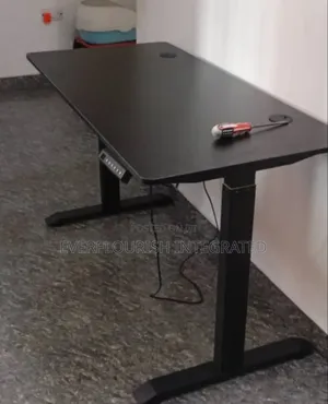 Electric Adjustable Table/Office Desk Height