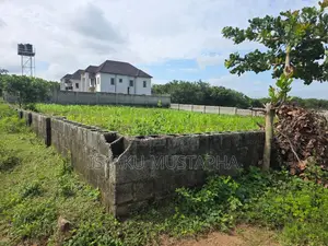 Certificate of Occupancy