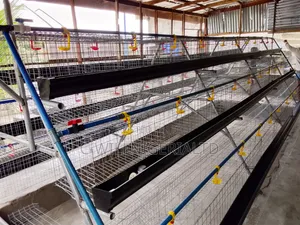 Battery Cages for Poultry Layers