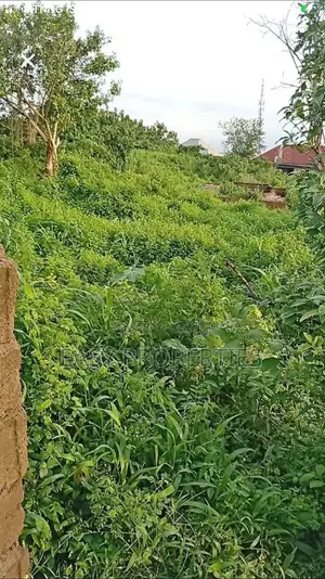 Land Agreement