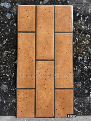 Wall Tiles for Interior Exterior Wall Cladding in 25cm X 50cm