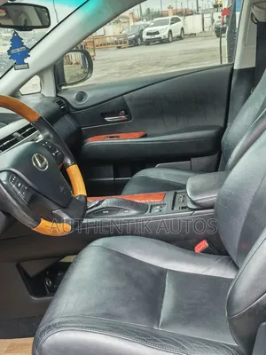 Lexus RX 2011 Gray