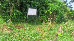 Land at Aba Otun ,Onipe, Ibadan for Sale