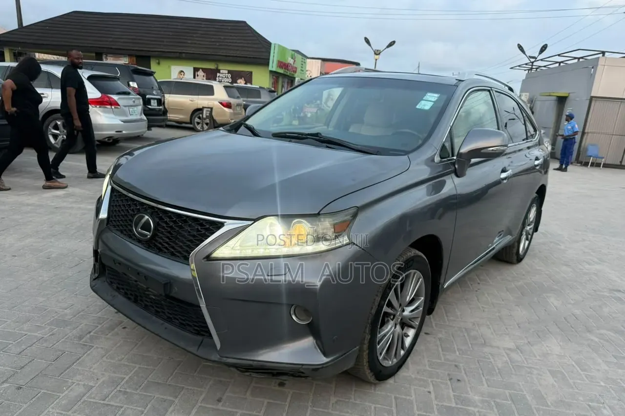 Lexus RX 2014 Gray
