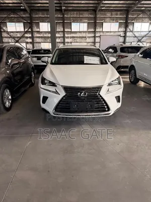 Lexus NX 2019 White