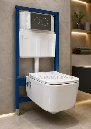 MODERN WALL-mounted WC SET With Dual Flush Hidden Cistern