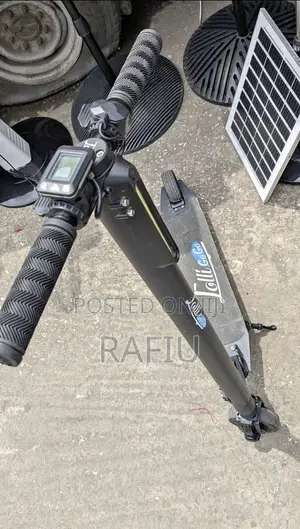 Electric Scooters 29 Volt