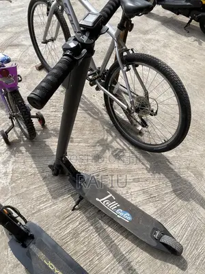 Electric Scooters 29 Volt
