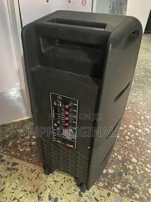 ALIPU Speaker