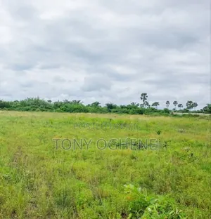 Plots and Acres of Land for Sale Off Imota Ikorodu, Sagamu