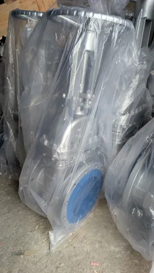 Gate Valve and Butterfly Valve