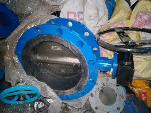 Gate Valve and Butterfly Valve