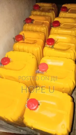 Palm Oil in 25 Liters