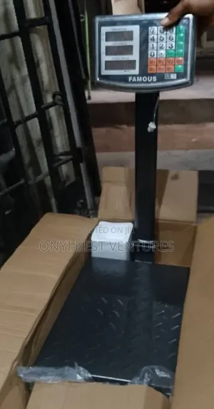 100kg Famous Digital Scale