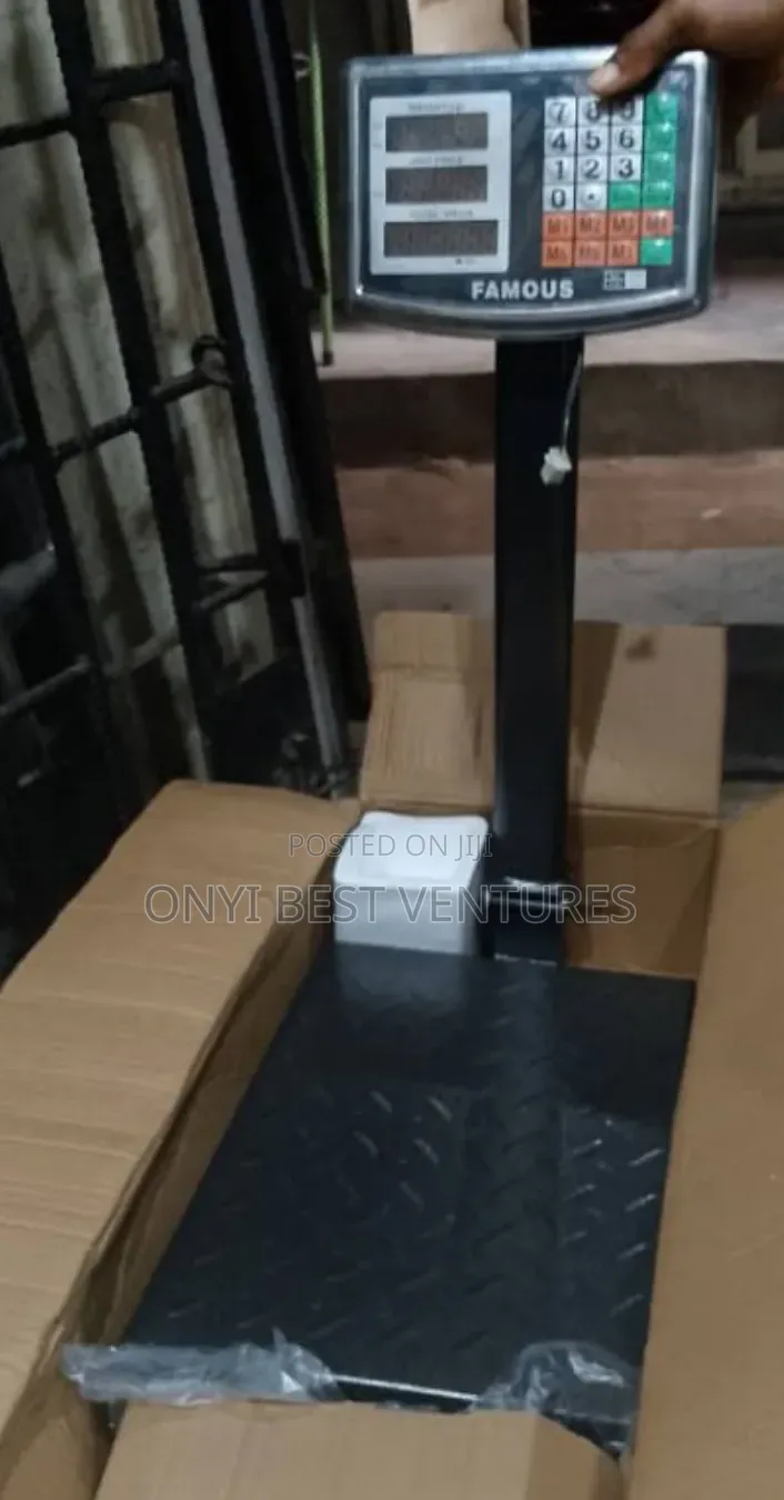 100kg Famous Digital Scale