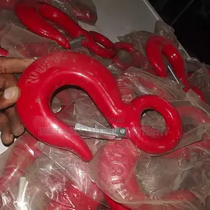 Heavy-Duty Eye Hoist Hook
