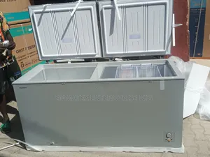 Hisense Fc-66dd 500L Double Door Freezer