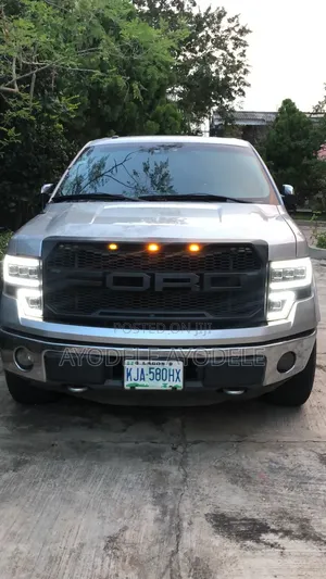 Ford F-150 2012 Silver
