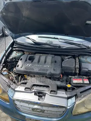 Hyundai Elantra 2008 Blue