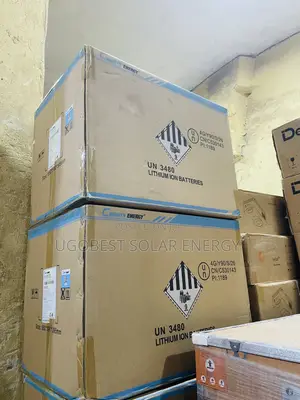5kwh 24v Cworth Lithium Ion Battery