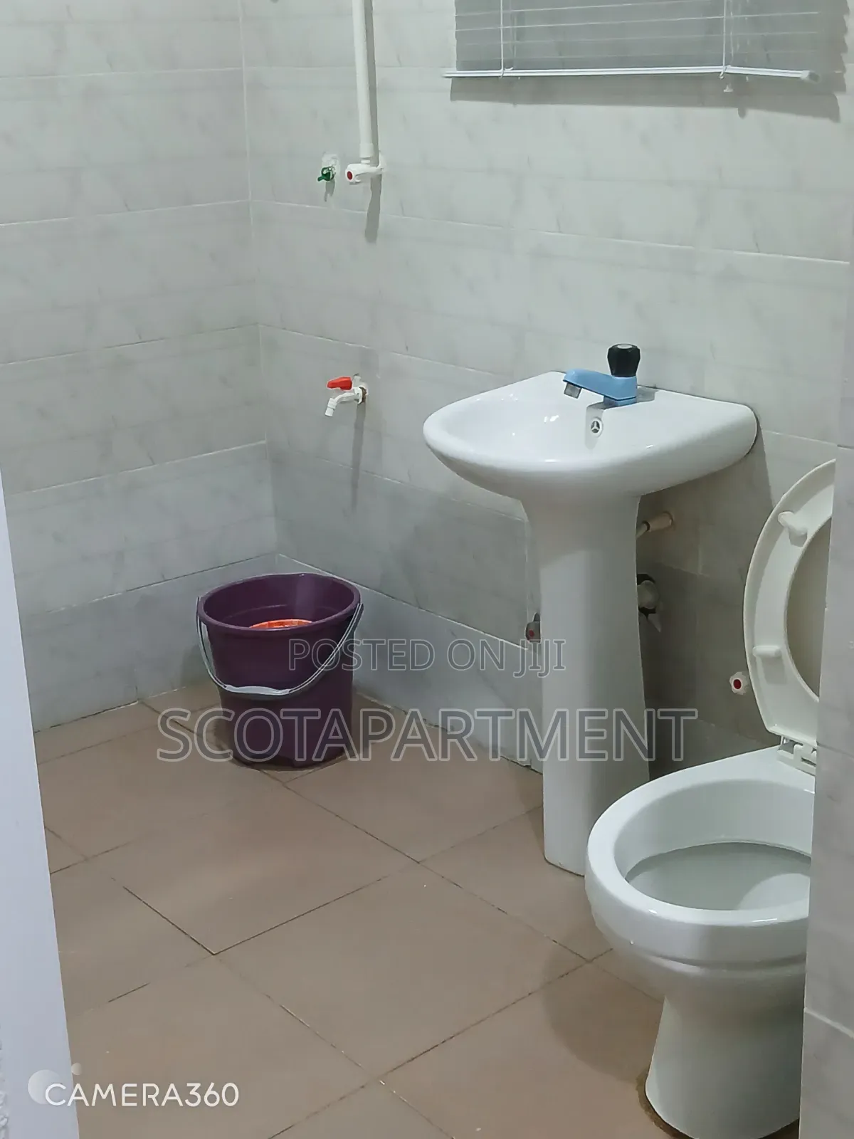 Shared Apartment