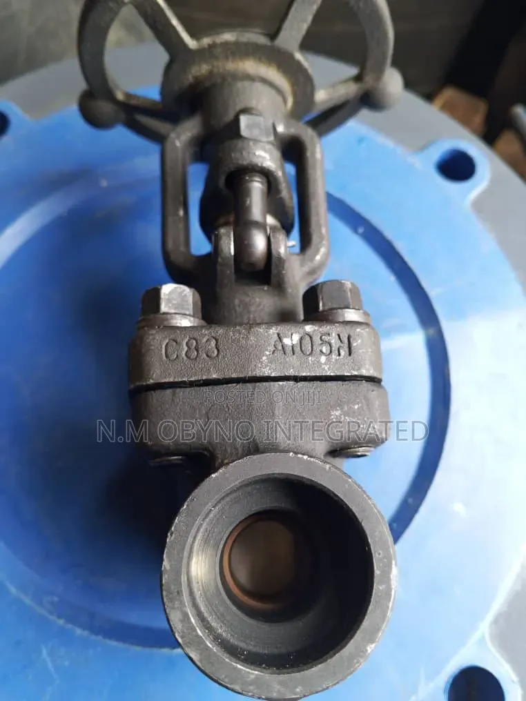 1" Class 800 Get Valve