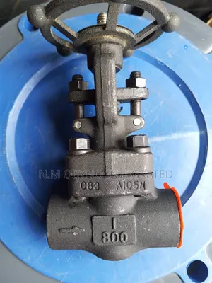 1" Class 800 Get Valve