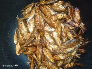 Dried Bonga, Seke Efelo Fish