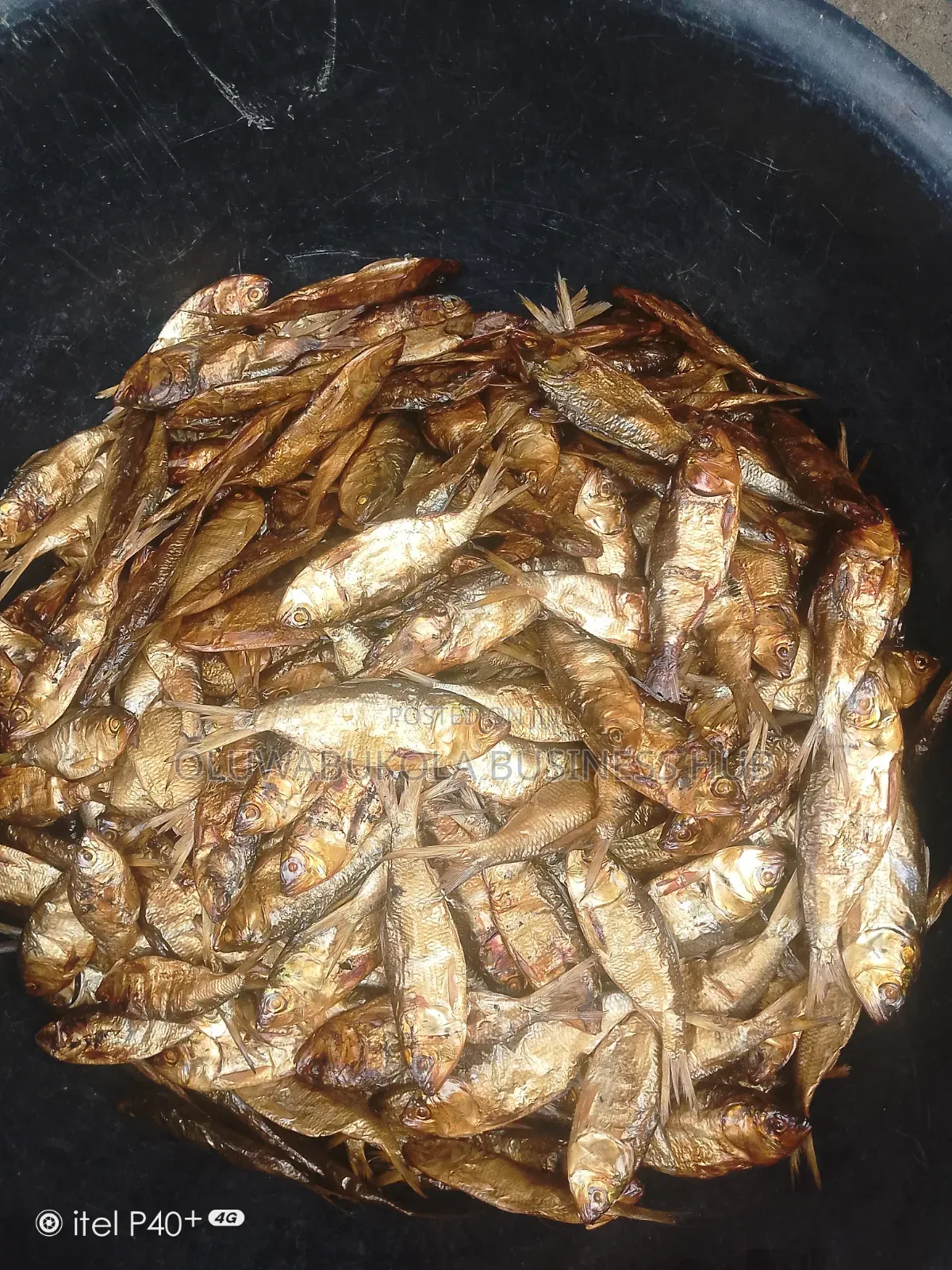 Dried Bonga, Seke Efelo Fish