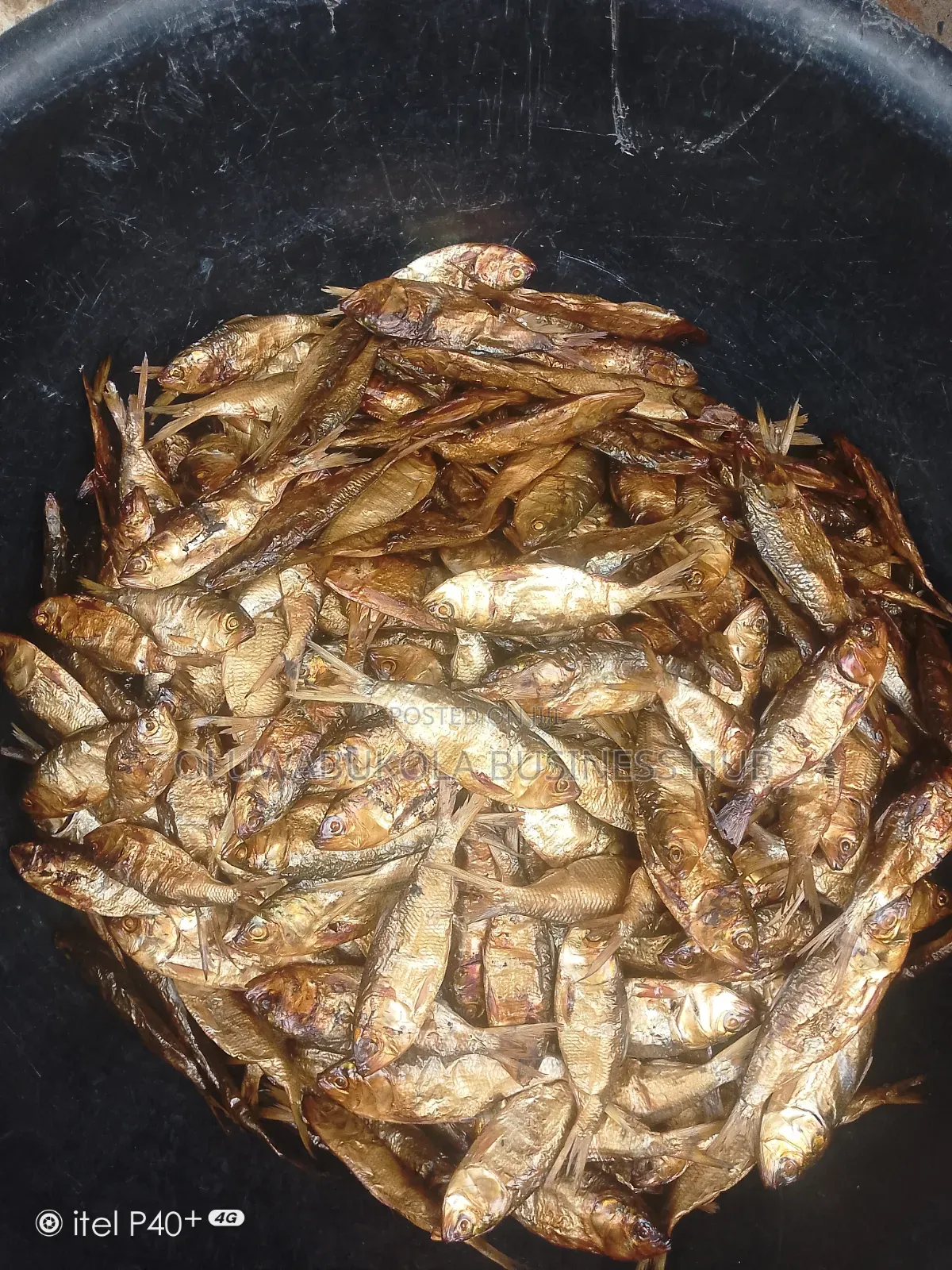 Dried Bonga, Seke Efelo Fish