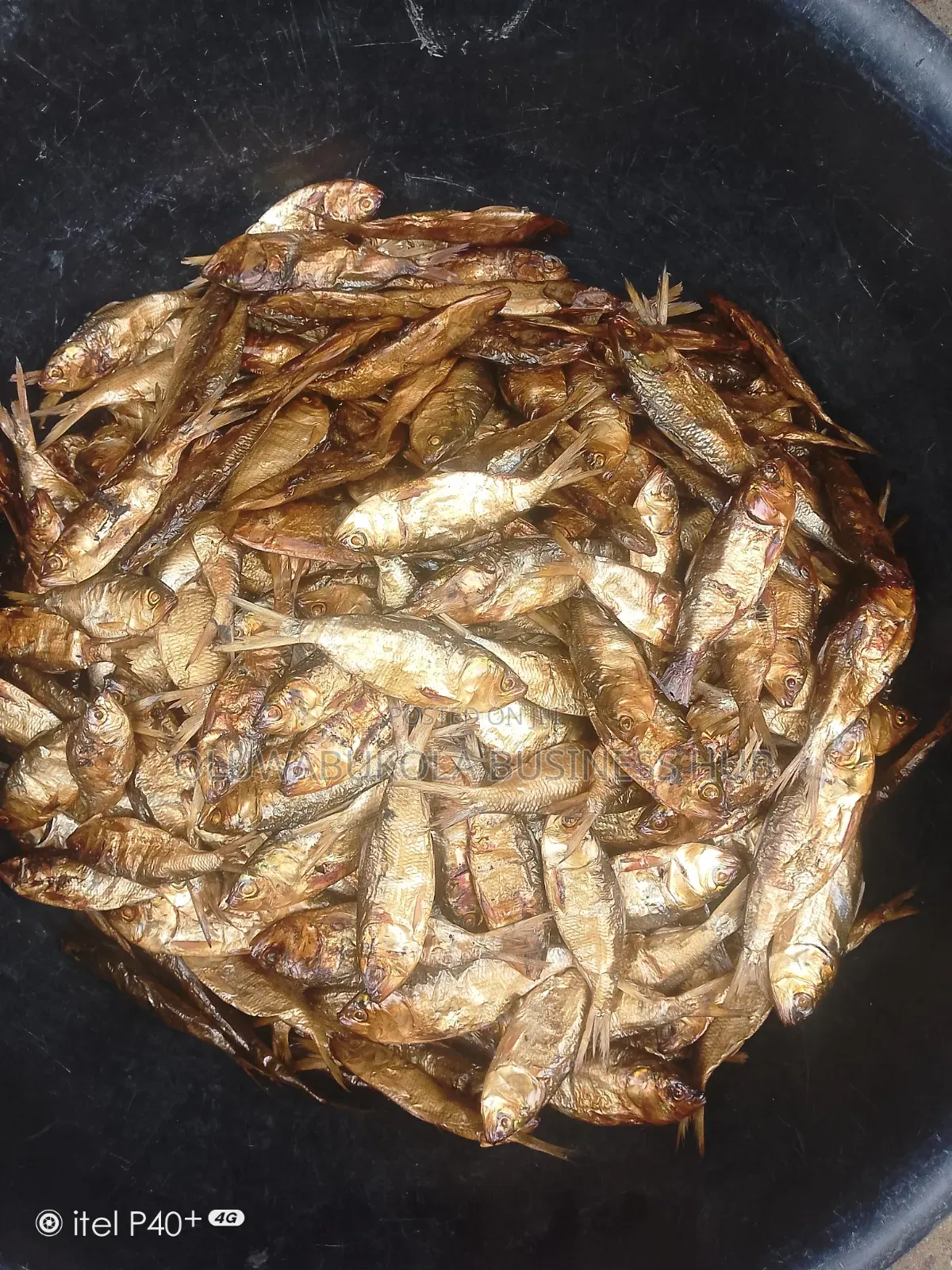 Dried Bonga, Seke Efelo Fish