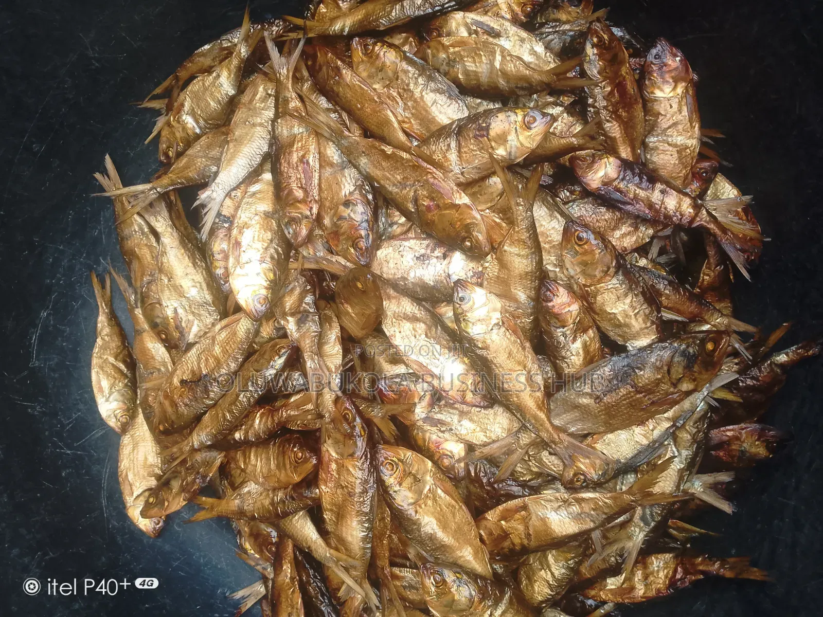 Dried Bonga, Seke Efelo Fish