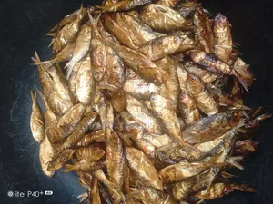 Dried Bonga, Seke Efelo Fish