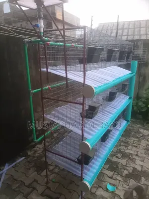 Rabbit Cage