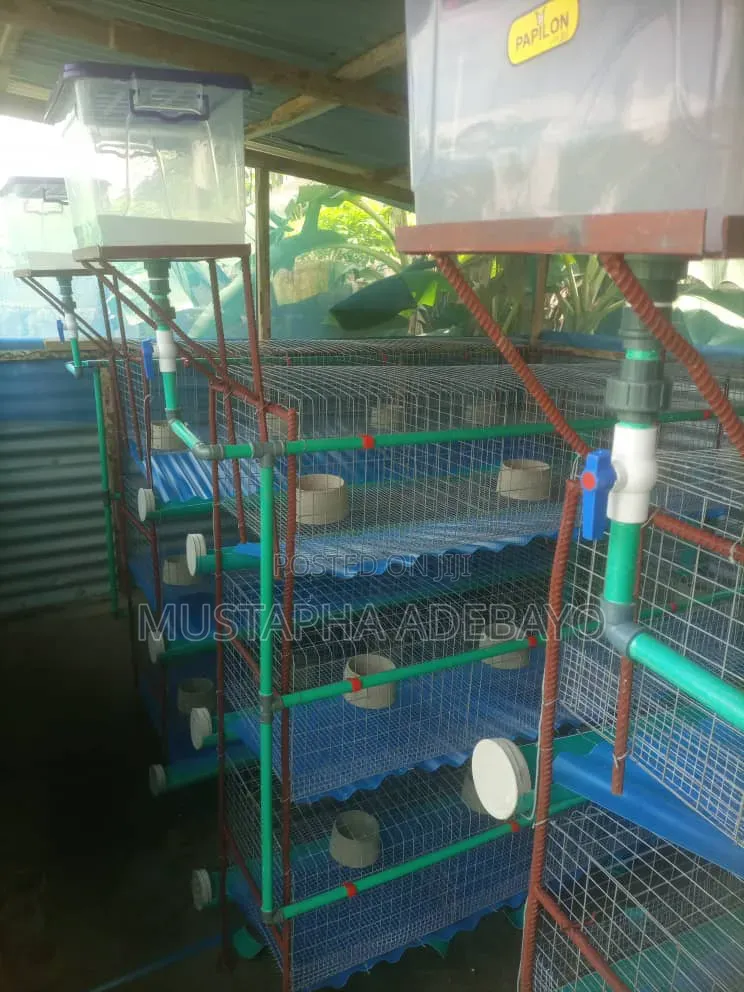 Rabbit Cage