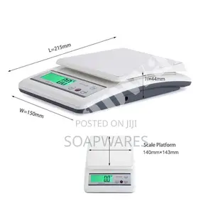 1-10kg Digital Scale